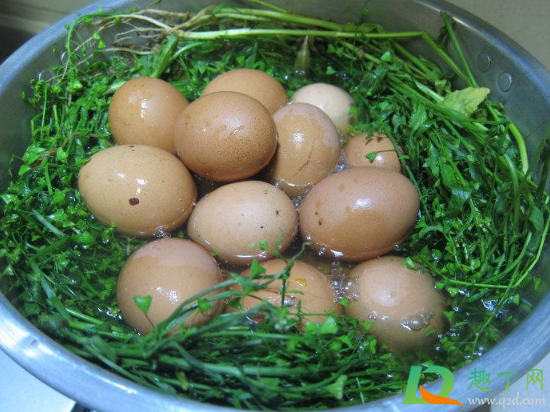 荠菜煮鸡蛋不能和什么一起吃