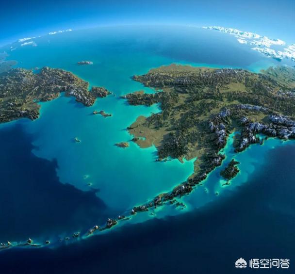 白令的手表怎么样,和dw额对比呢?