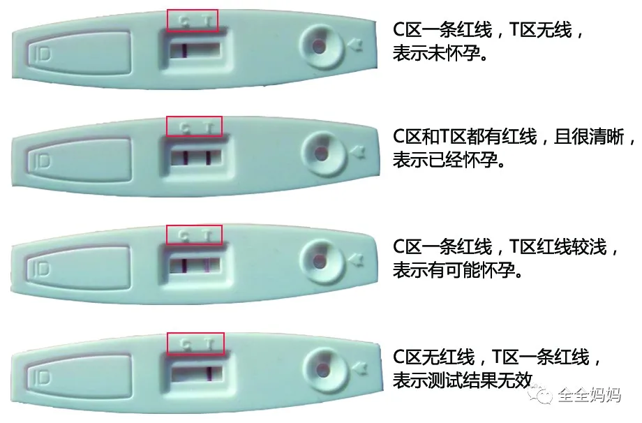 验孕棒分早晚吗 正常多久怀孕