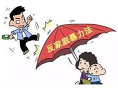 什么是反家暴法
