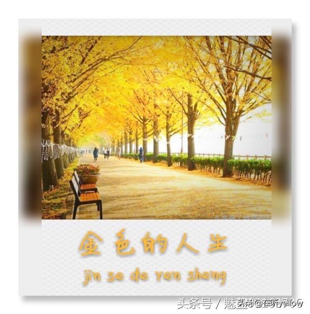 有多少人坚持天天发头条?