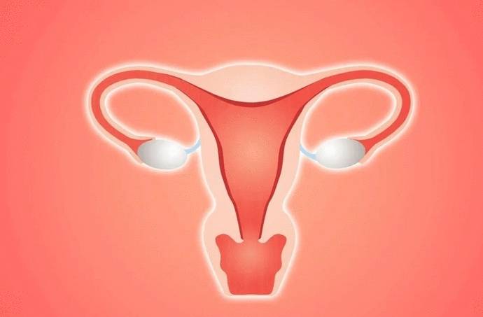男性hpv16多久转阴 hpv多久能转阴
