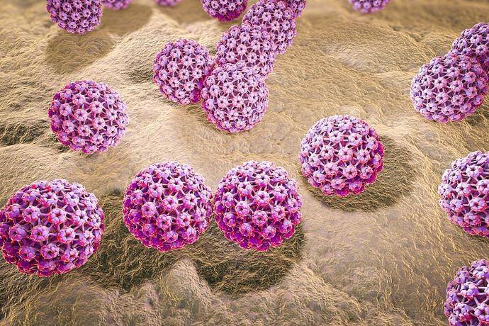 男性hpv16多久转阴 hpv多久能转阴