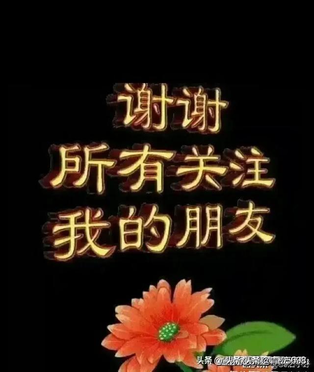 别人“关注”你,你会“回关”对方吗?