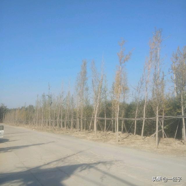 你曾经经历过或者目睹过哪些诡异的事情,直到如今也无法用科学解释?