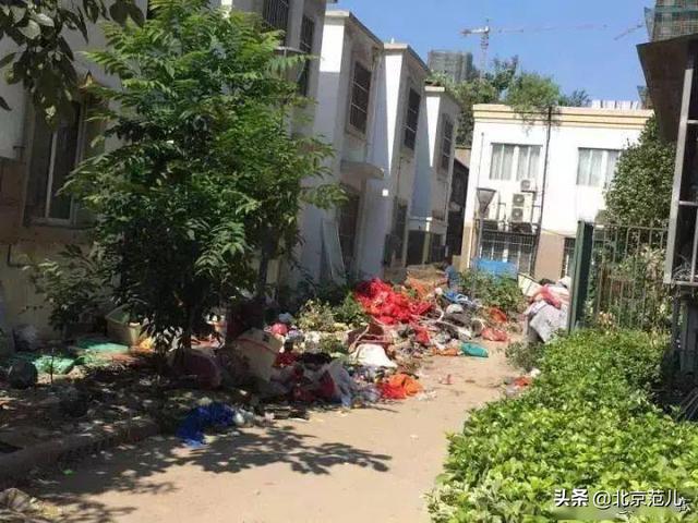 为什么很多小区老人喜欢翻垃圾?