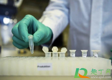 喝啤酒后12小时可以打新冠疫苗吗