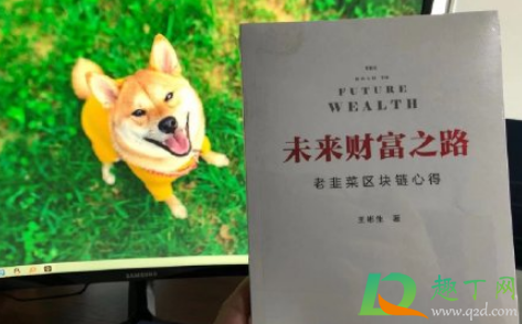狗狗币现在可以买吗
