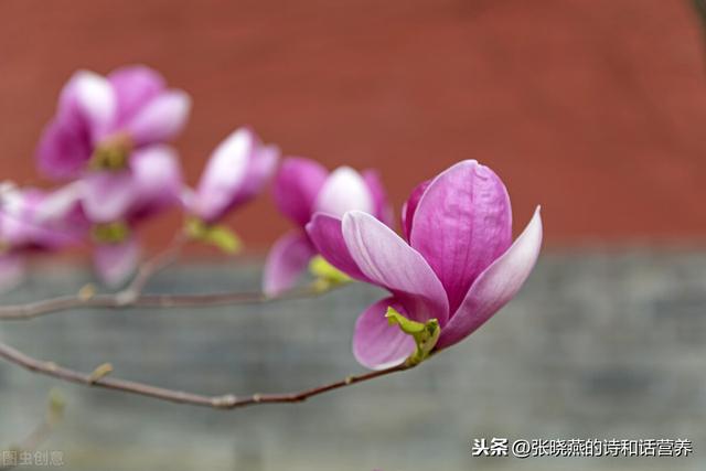 无子女的退休离异女人,如果不再婚晚年生活会无依无靠吗?