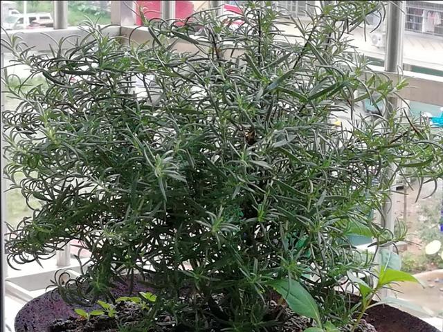 二婚家庭,工资各用各的,也没有共同的存折,万一哪一天对方生病了,要不要把自己节约出来的钱花在对方身上?
