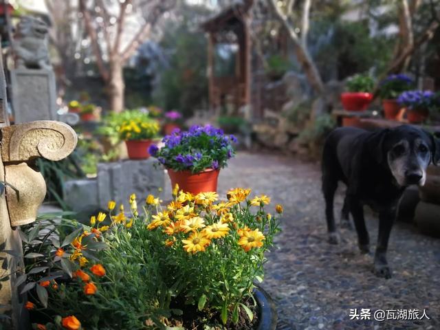 一个女人不喜欢手饰、包包、化妆品,对奢侈品也不认识也不感冒,这个人是否太没有意思了?