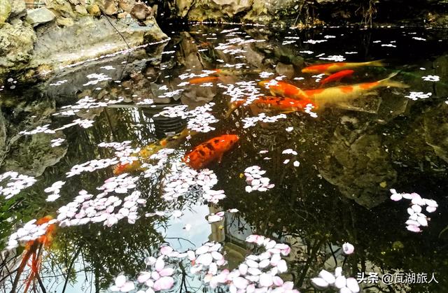 一个女人不喜欢手饰、包包、化妆品,对奢侈品也不认识也不感冒,这个人是否太没有意思了?