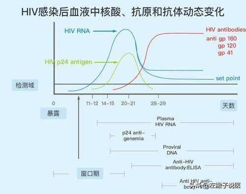 多长时间能查出艾滋病 艾滋病多久检查出来