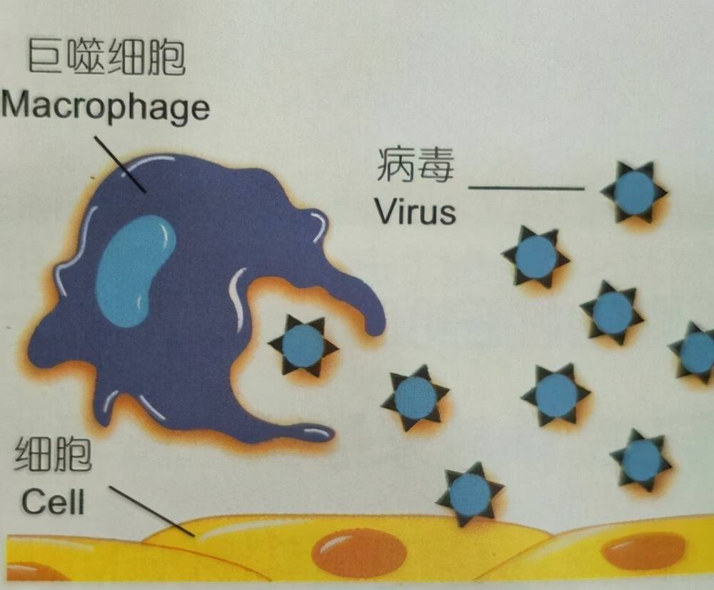 大正感冒药可以连续吃几天 感冒药吃多久