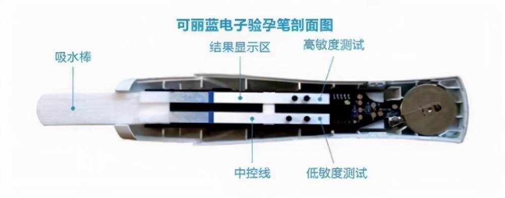 hcg验孕棒多久能测出怀孕 怀孕多久能验孕
