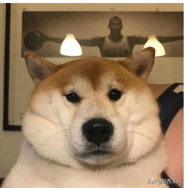 一个稍有不顺就对家人大吼大叫的人是个什么样的人?