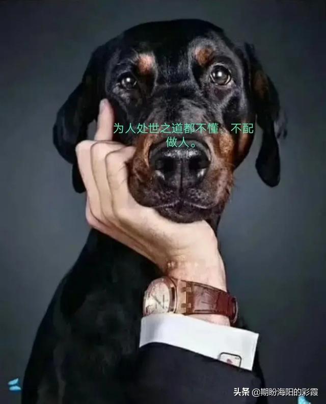 一个稍有不顺就对家人大吼大叫的人是个什么样的人?