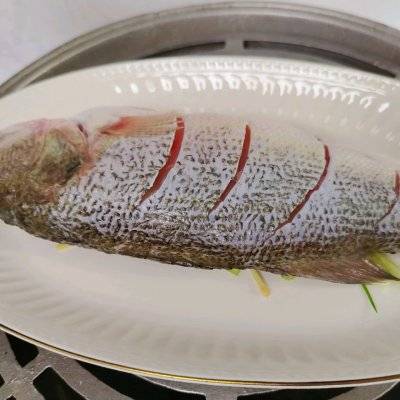 清蒸鲈鱼一般要多少时间 鲈鱼要蒸多久