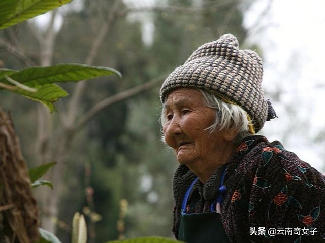 老了不靠儿女,如何才能活得更有尊严?