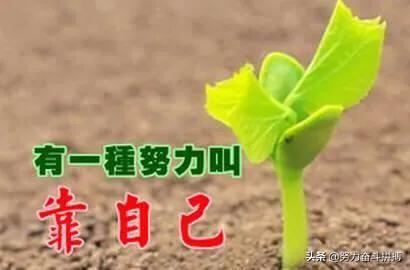 “人,不要指望任何人,即使是至亲至爱至友也不行”你怎么看呢?
