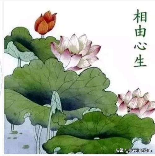 为什么说“你的脸就是你的性格与福报”？