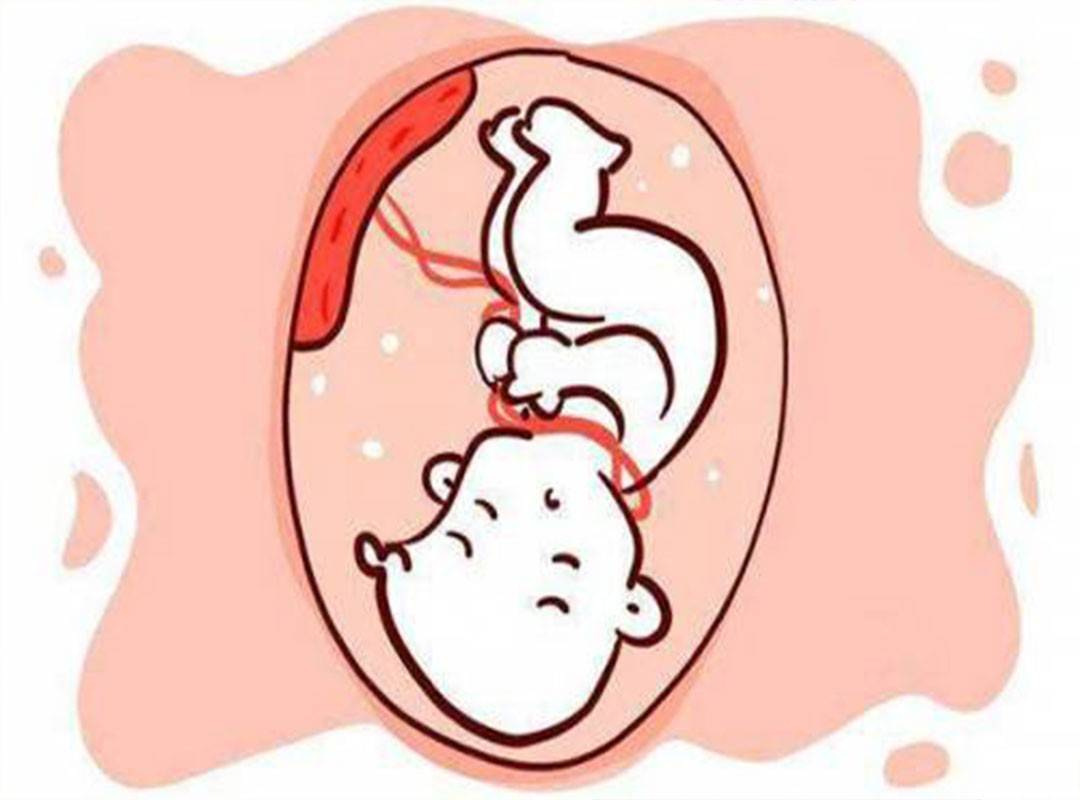 宫外孕保守治疗多久可以做造影 做造影多久可以怀孕