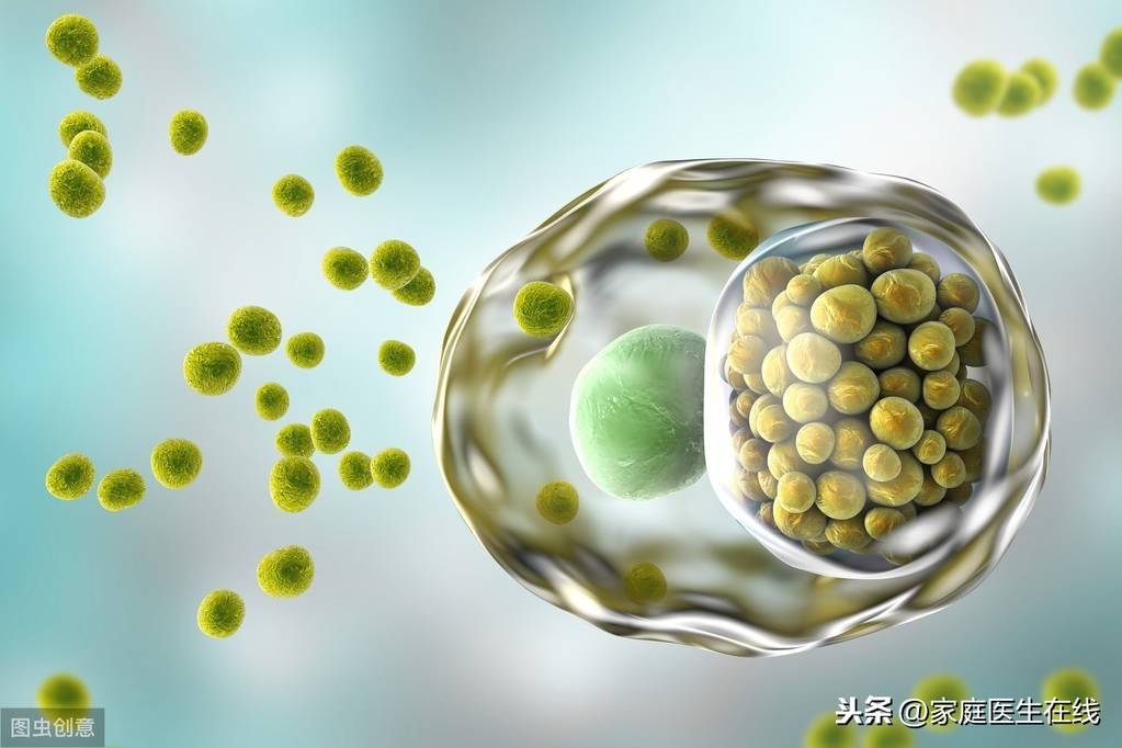 女性衣原体阳性严重吗 衣原体检查多久