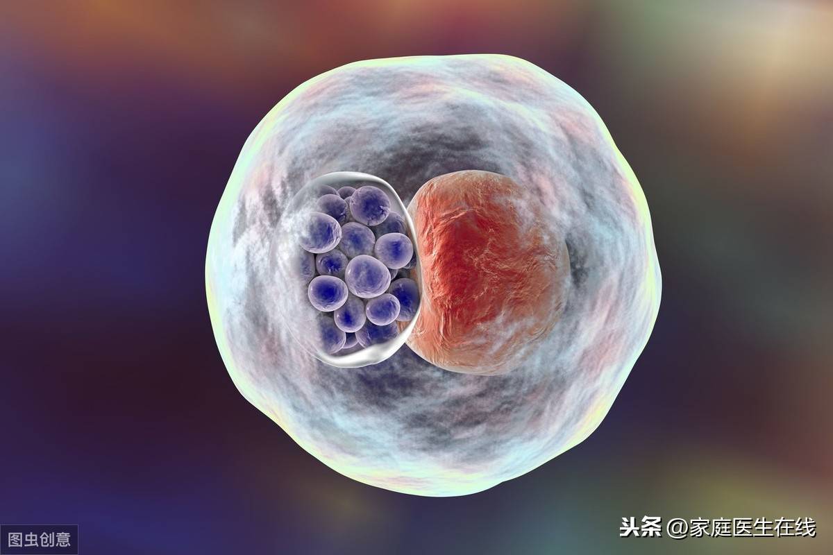 女性衣原体阳性严重吗 衣原体检查多久