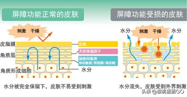媒体称「护肤品用得越多越勤皮肤可能越差」,原因可能是什么?