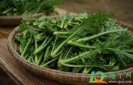 夏天种什么蔬菜最快 夏天种什么青菜合适