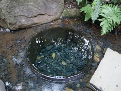 井水有异味怎么处理