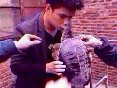 龟咬人不撒嘴怎么办