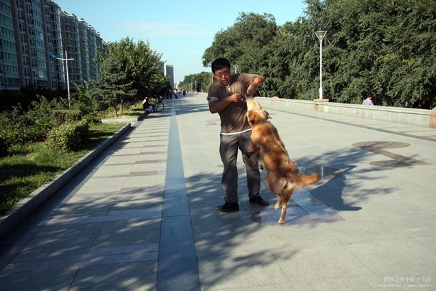 家狗咬人会得狂犬病吗