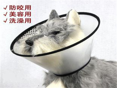 宠物狗头套有什么用?