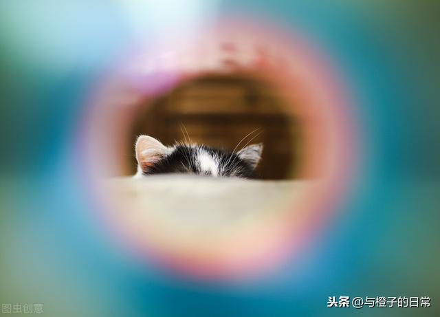 为什么有些乡镇公务员工资水平不高还有那么多人报考?