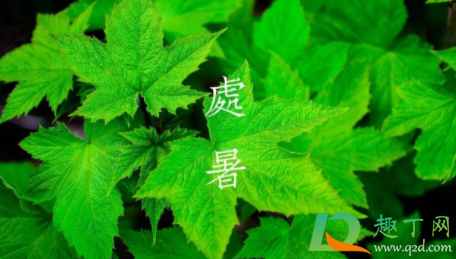 处暑一般什么气候