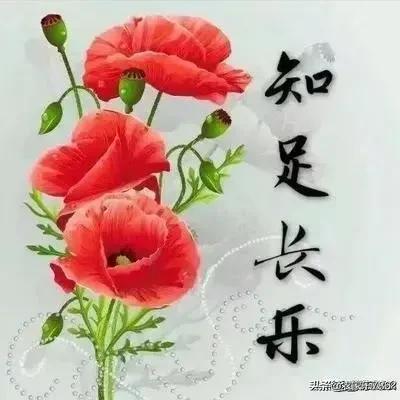 低保人患病,无经济治病怎么办?