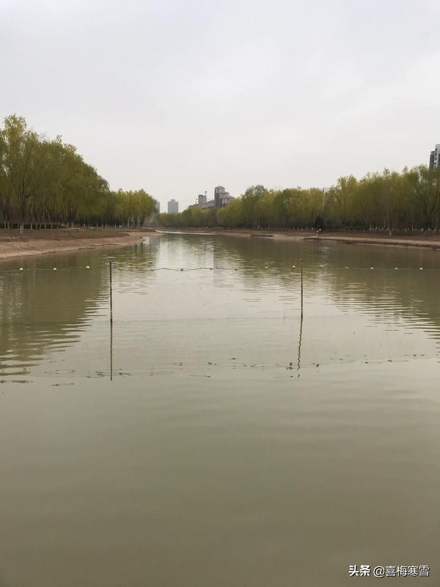 这次修改教师法，教师会变成教育公务员吗？