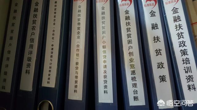 因病而成贫困户后，国家有什么帮助吗？