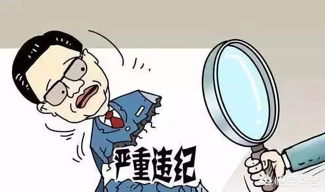 事业单位工作人员，被判处有期徒刑2年缓刑2年，单位会开除公职吗？