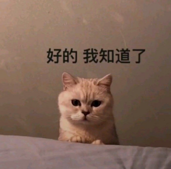 520网络情人节搞笑套路男友表情包大全最新