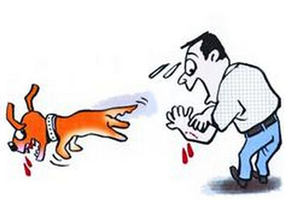 被狗咬一定会得狂犬病吗？