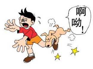 被猫狗咬伤后对伤口怎么处理急救?