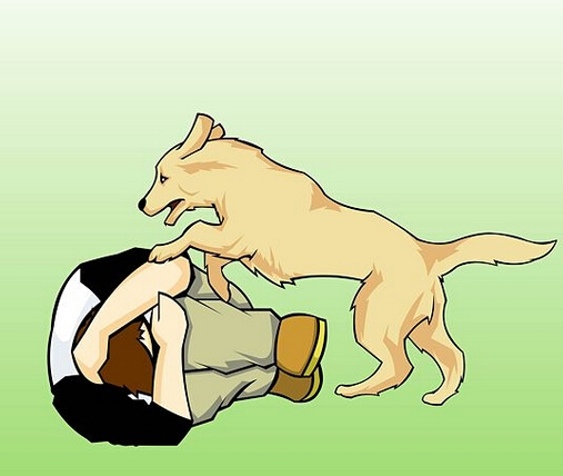 被狗追咬时怎么应急逃生?保持静止才不会激起它的攻击欲