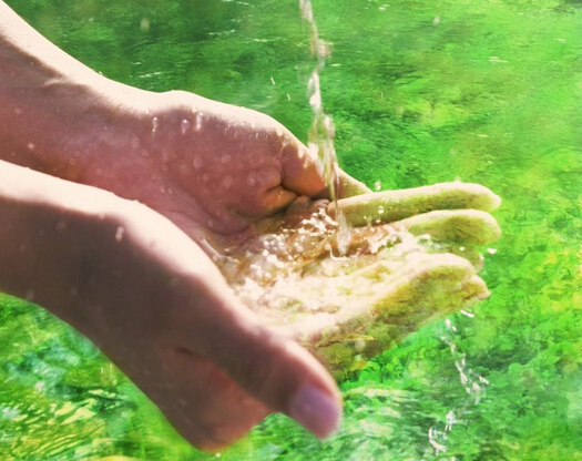 人类疾病80%与水有关 被污染的水堪比毒药