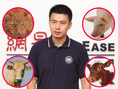 儿童宠物咬伤:24小时内必须注射狂犬疫苗