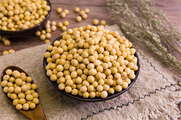 豌豆和黄豆哪个蛋白含量高 豌豆蛋白和大豆蛋白哪个好