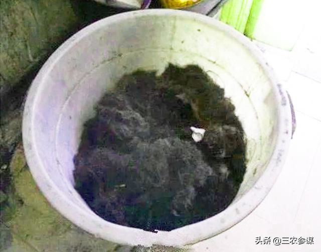 农村总有人高价收头发,有人说是做酱油的,这是真的吗?