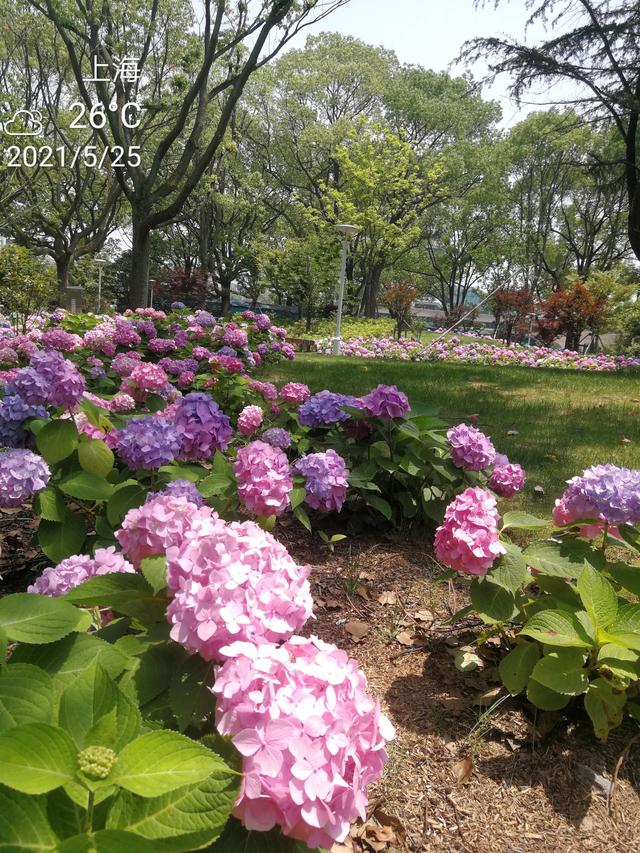 活到70岁才明白,人老了,真正的苦日子才刚开始,你怎么看?