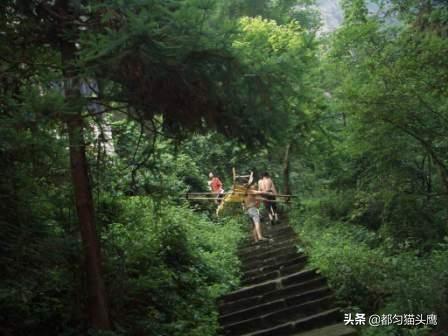 用竹杆绑着木椅抬着病人去医院看病的年代，你经历过或听说过吗？